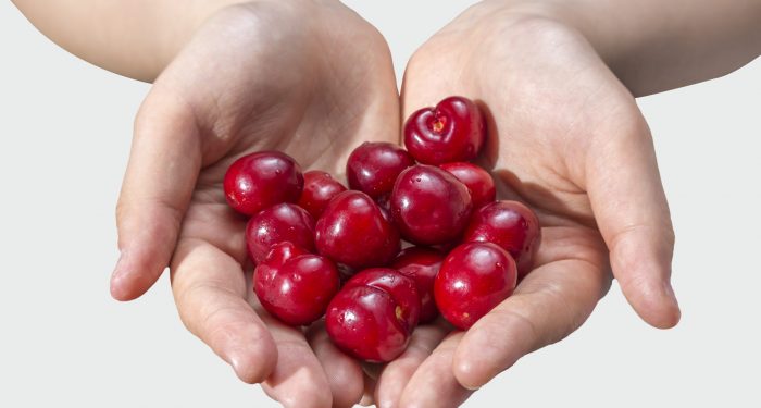 food-freshness-macro-ingredient-leaf